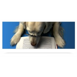 Dog Reading