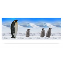 Emperor Penguins