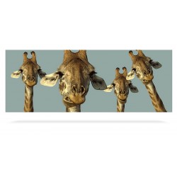 Giraffes Heads