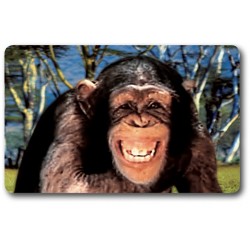 Card n°2 - CHIMPANZEE