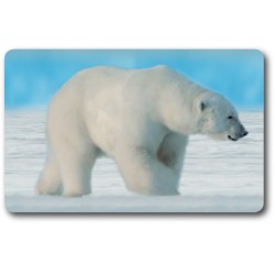 Card n°1 - POLAR BEAR