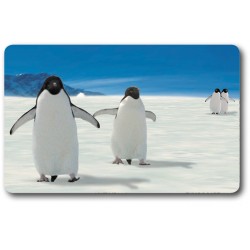 Card n°43 - ADELIE PENGUIN