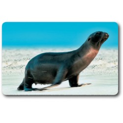 Card n°42 - SEA LION