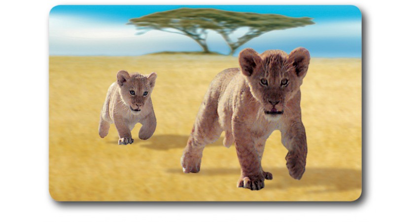 Card n°37 - LION CUB