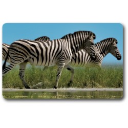 Card n°36 - ZEBRA