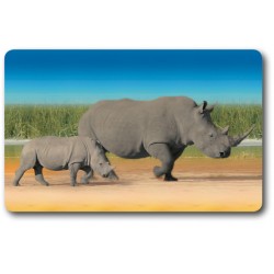 Card n°35 - RHINOCEROS