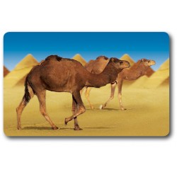 Card n°30 - DROMEDARY