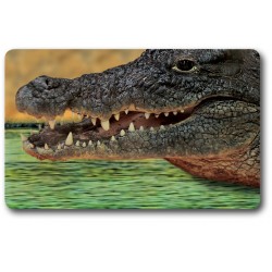 Carte n°29 - CROCODILE