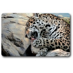 Card n°28 - JAGUAR