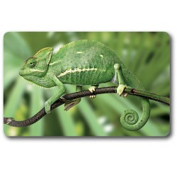 Card n°27 - CHAMELEON