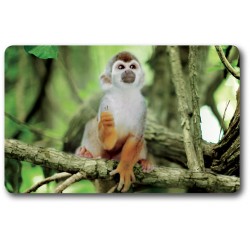 Card n°26 - SQUIRREL MONKEY