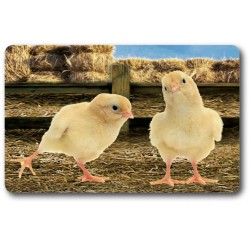 Card n°22 - CHICK