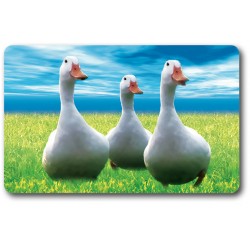 Card n°20 - WHITE GOOSE