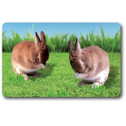 Carte n°19 - LAPIN