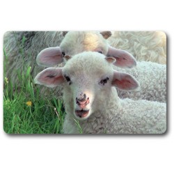 Card n°17 - LAMB