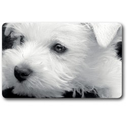 Card n°16 - WEST HIGHLAND TERRIER