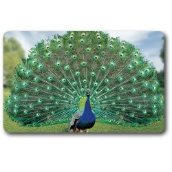 Card n°12 - PEACOCK