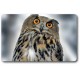 Card n°10 - EAGLE OWL