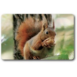 Card n°9 - RED SQUIRREL