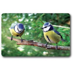 Card n°8 - BLUE TIT