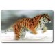 Card n°7 - SIBERIAN TIGER