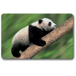 Carte n°6 - PANDA